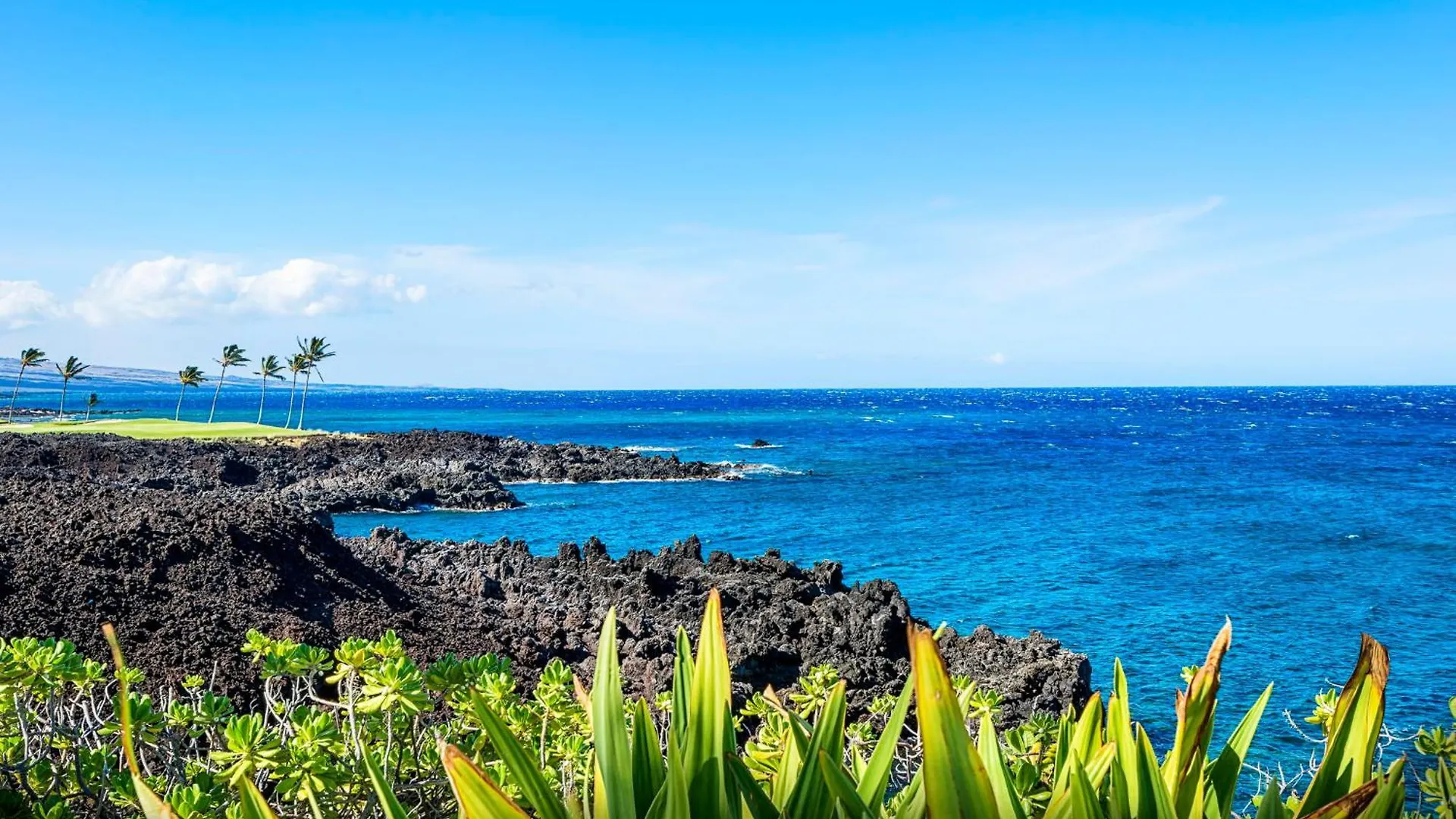 Halii Kai 20F Villa Waikoloa